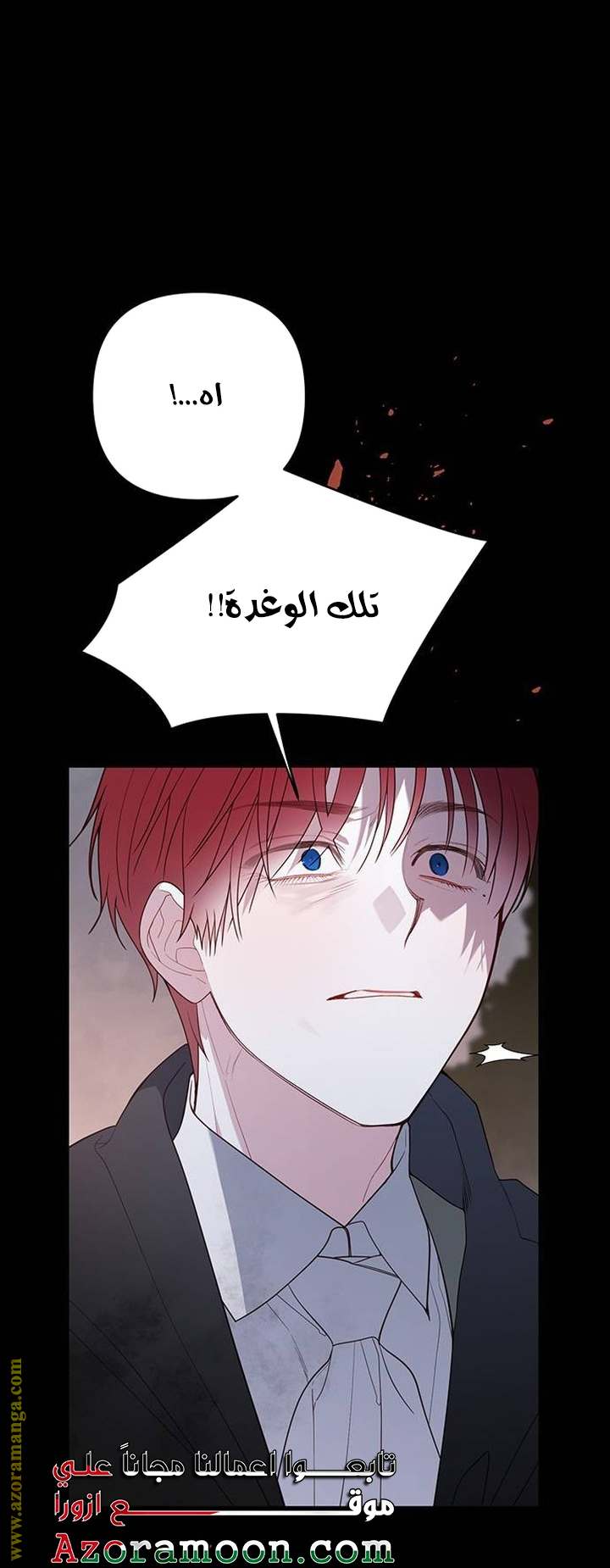 الصفحة 49