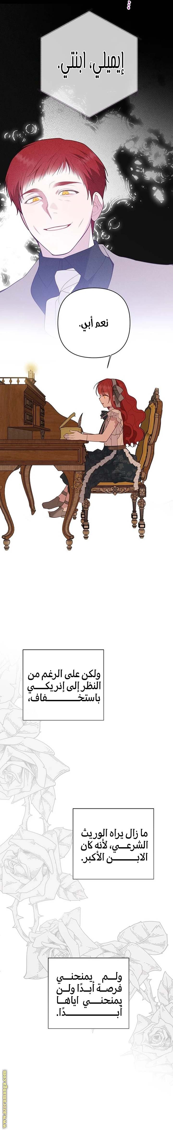 الصفحة 17