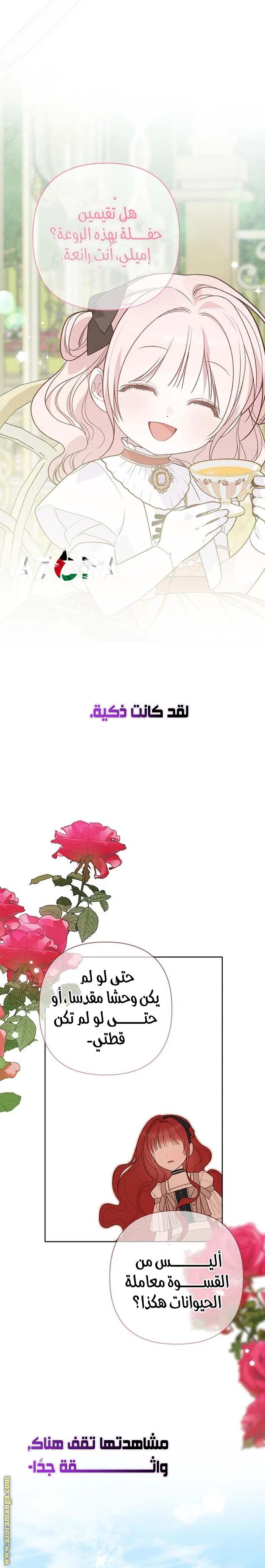الصفحة 20