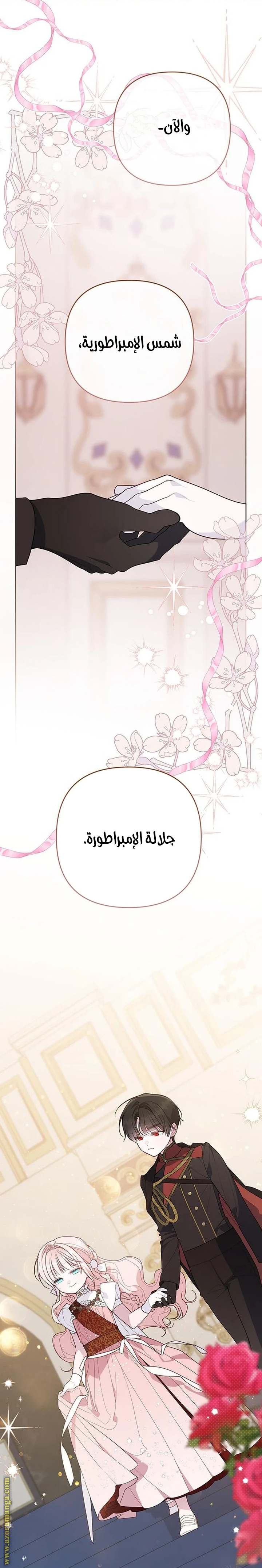 الصفحة 26