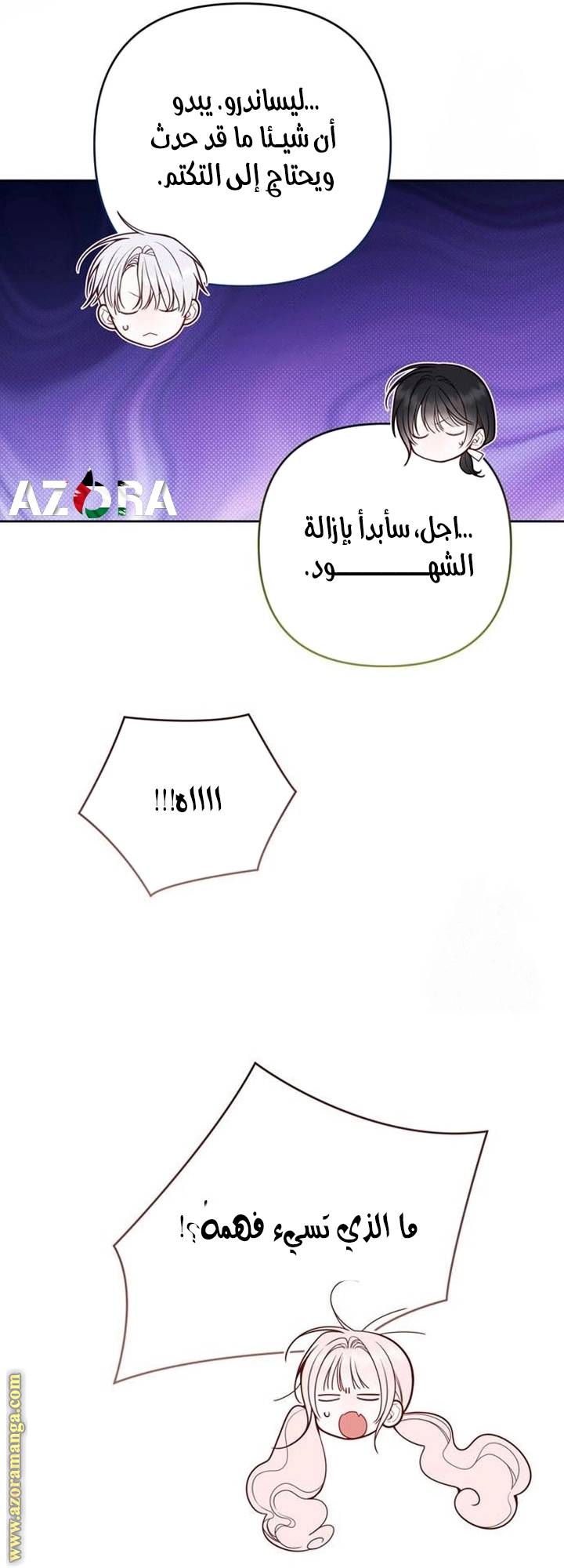 الصفحة 11
