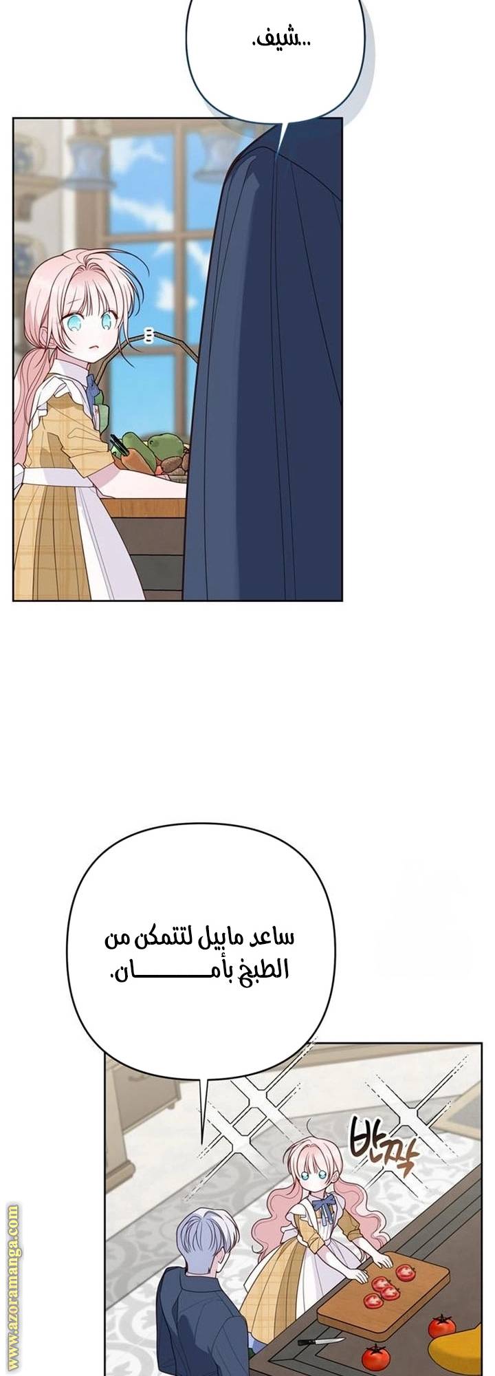 الصفحة 23