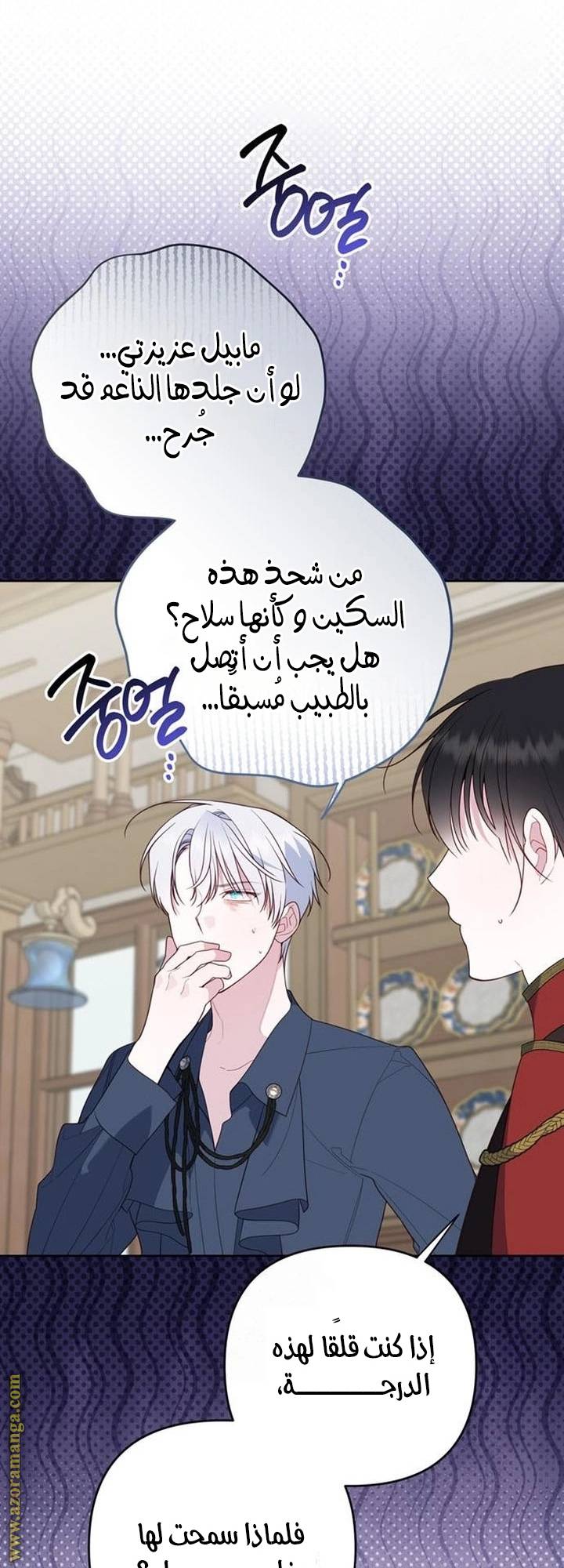 الصفحة 27