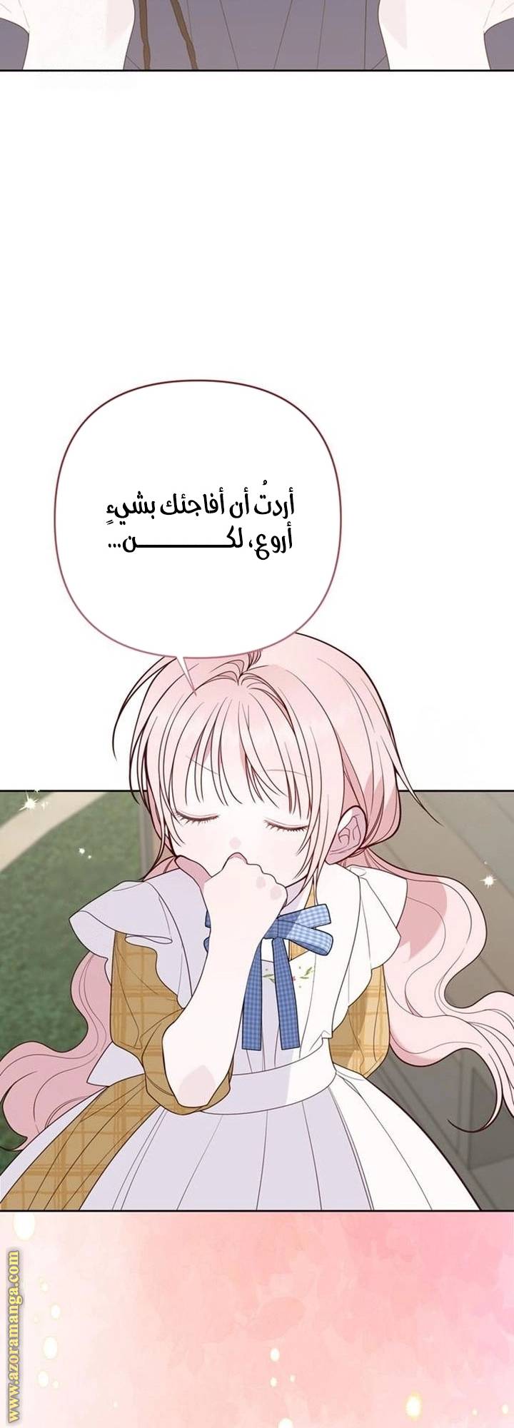 الصفحة 41