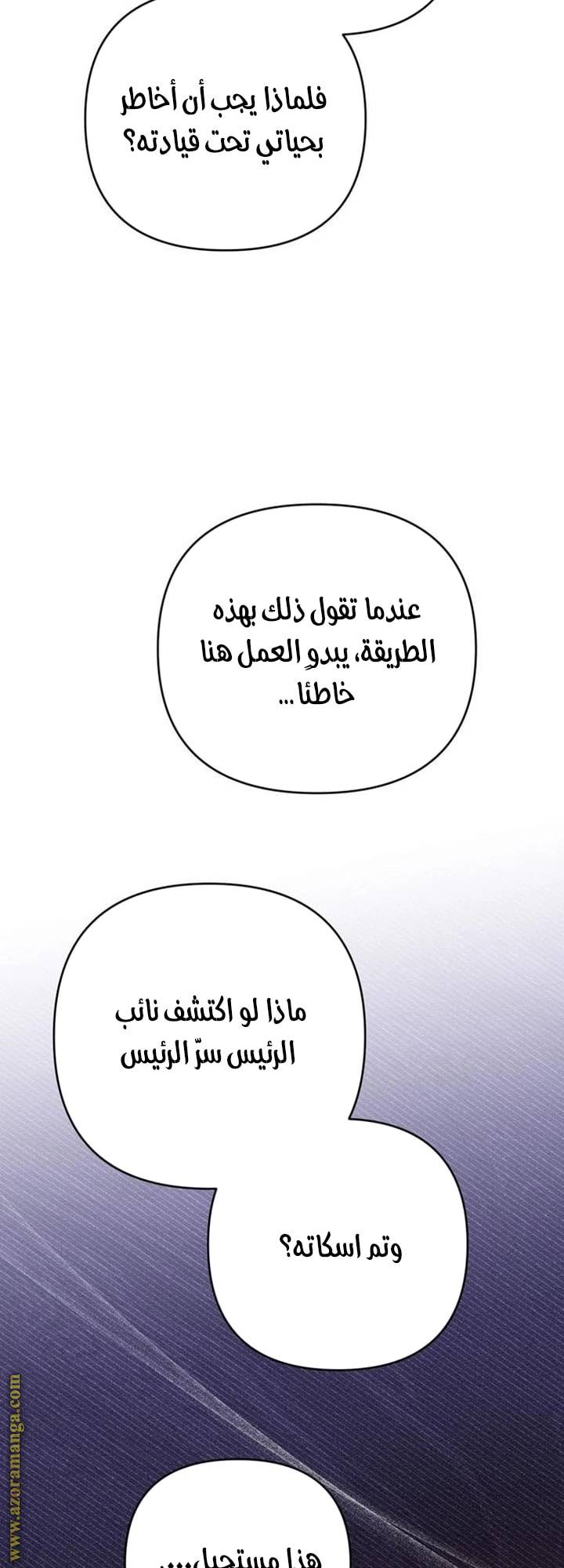 الصفحة 17