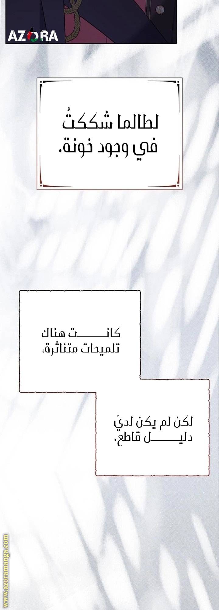 الصفحة 25