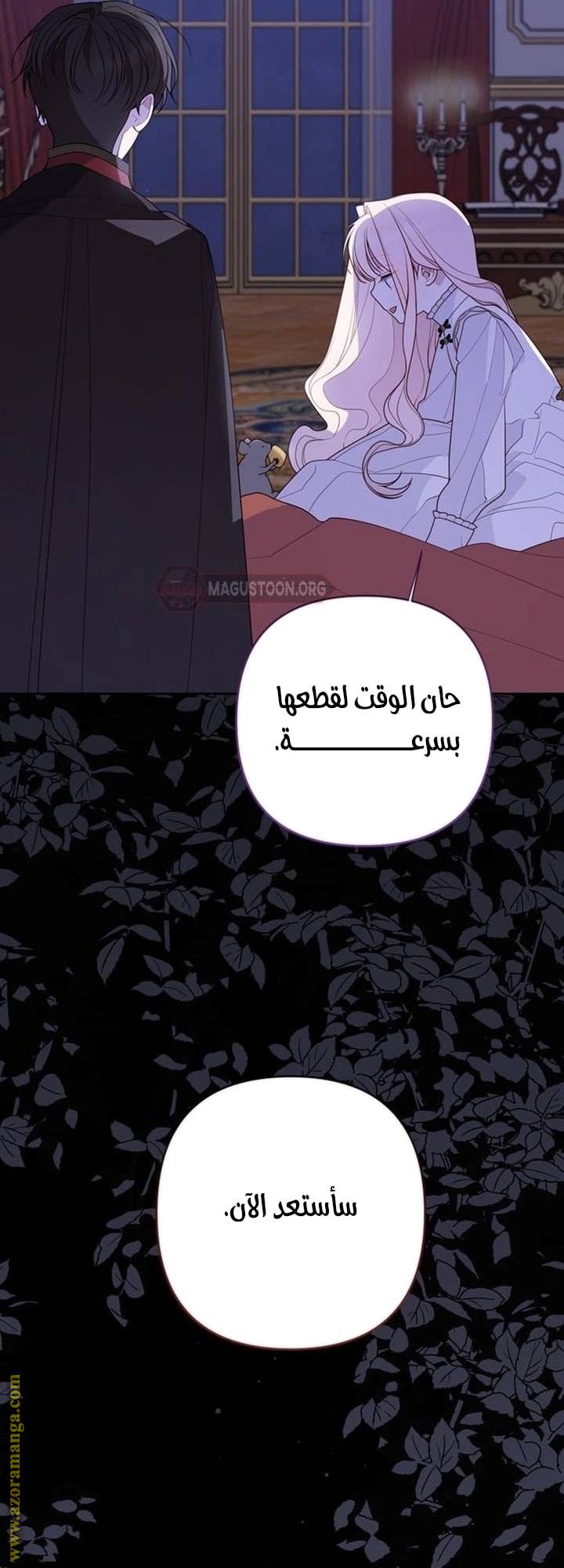 الصفحة 29