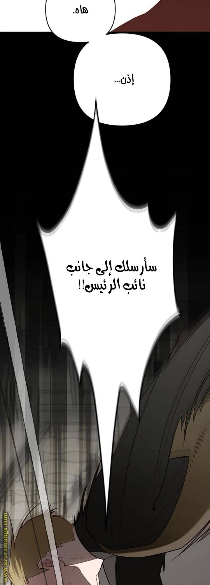 الصفحة 45