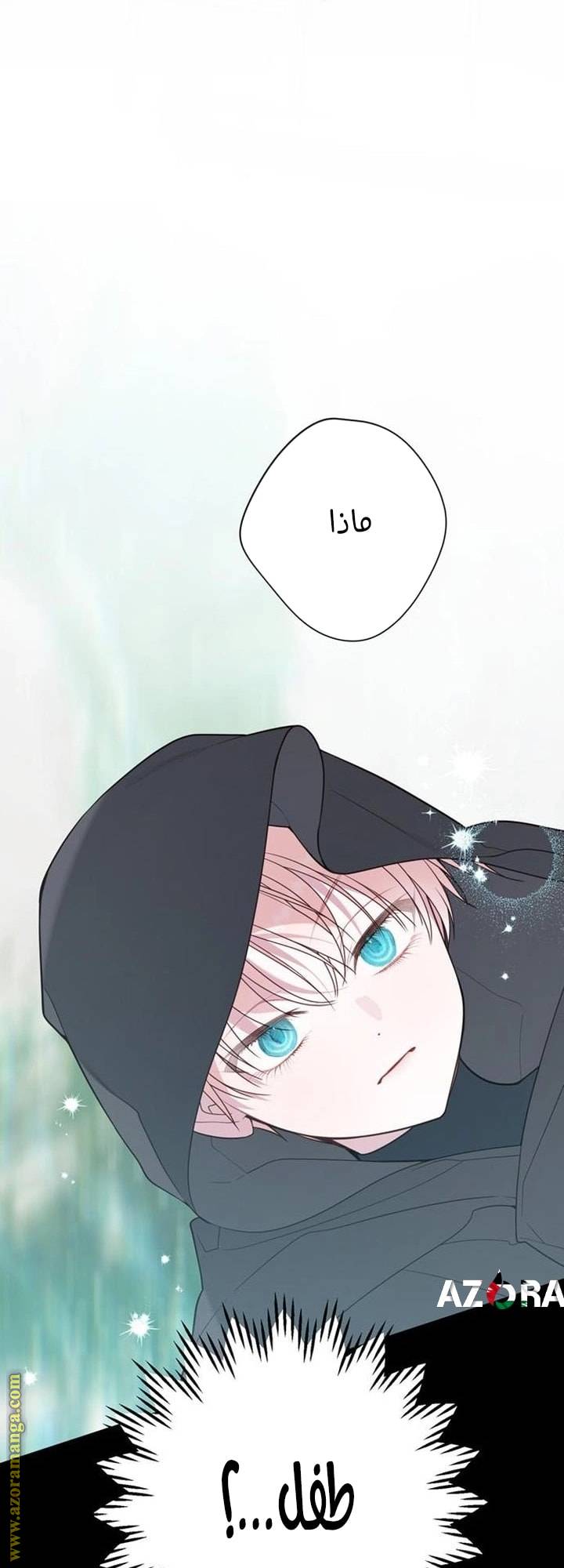 الصفحة 47