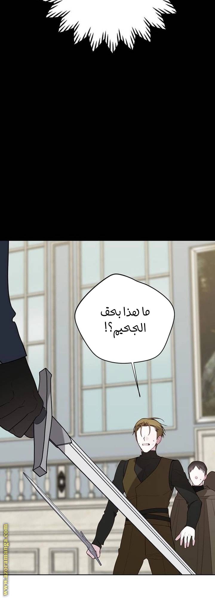 الصفحة 48