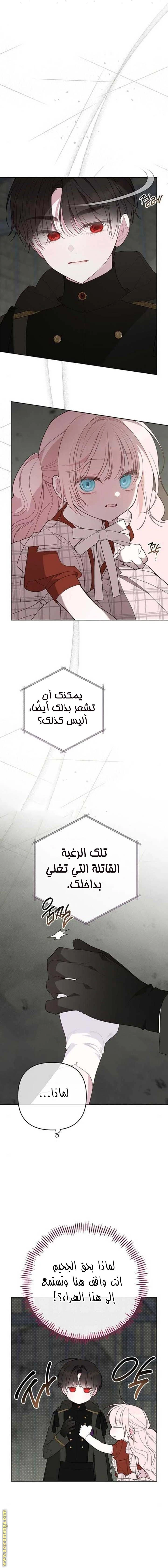 الصفحة 14