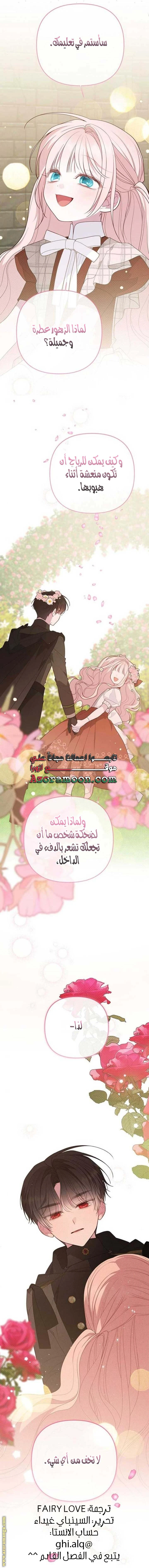 الصفحة 25