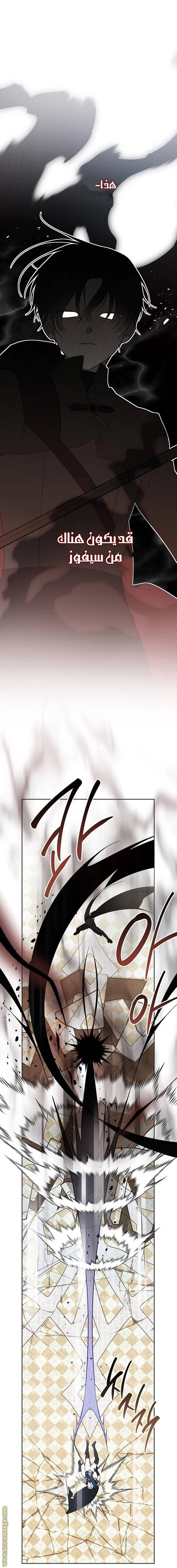 الصفحة 17