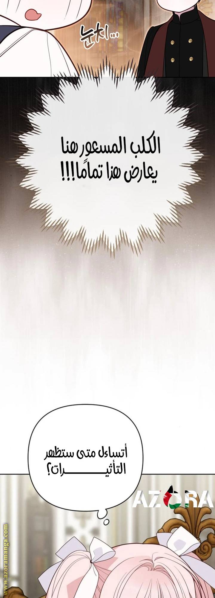 الصفحة 26