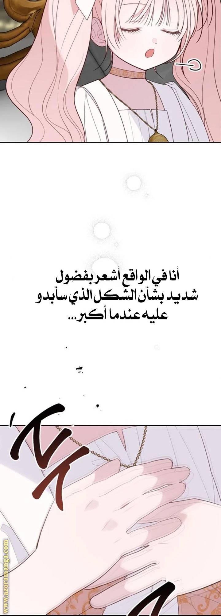 الصفحة 27