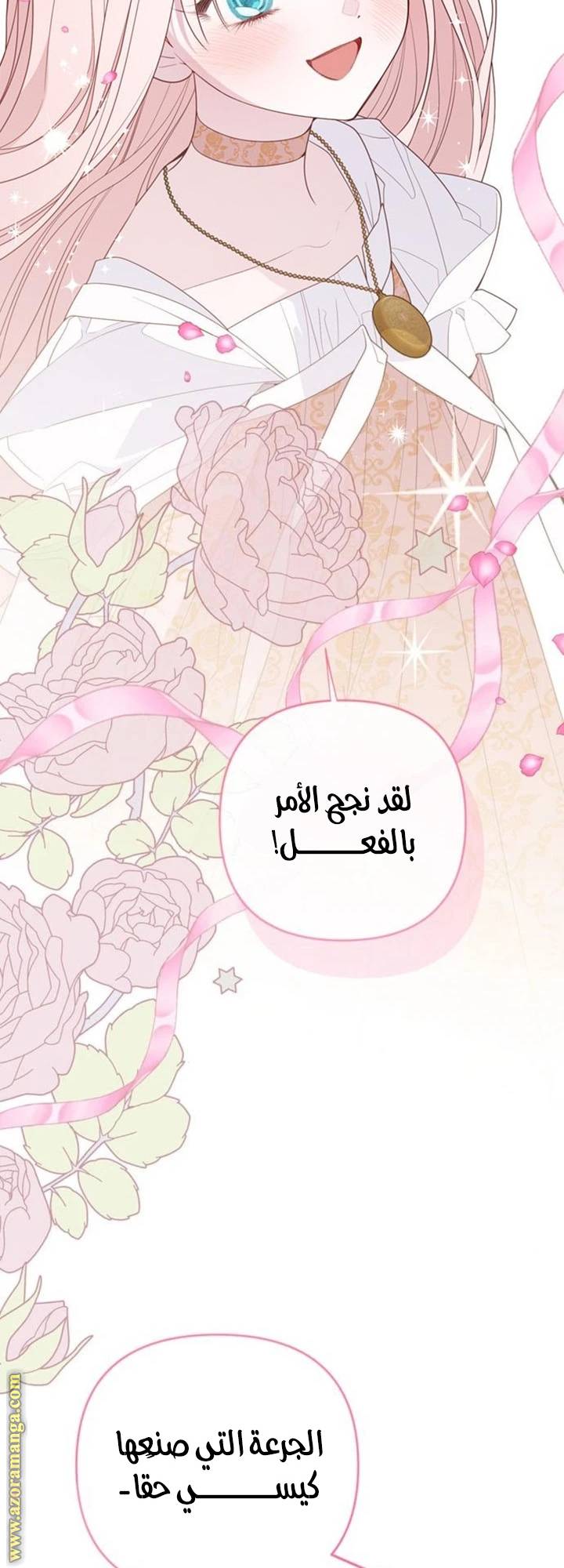 الصفحة 41