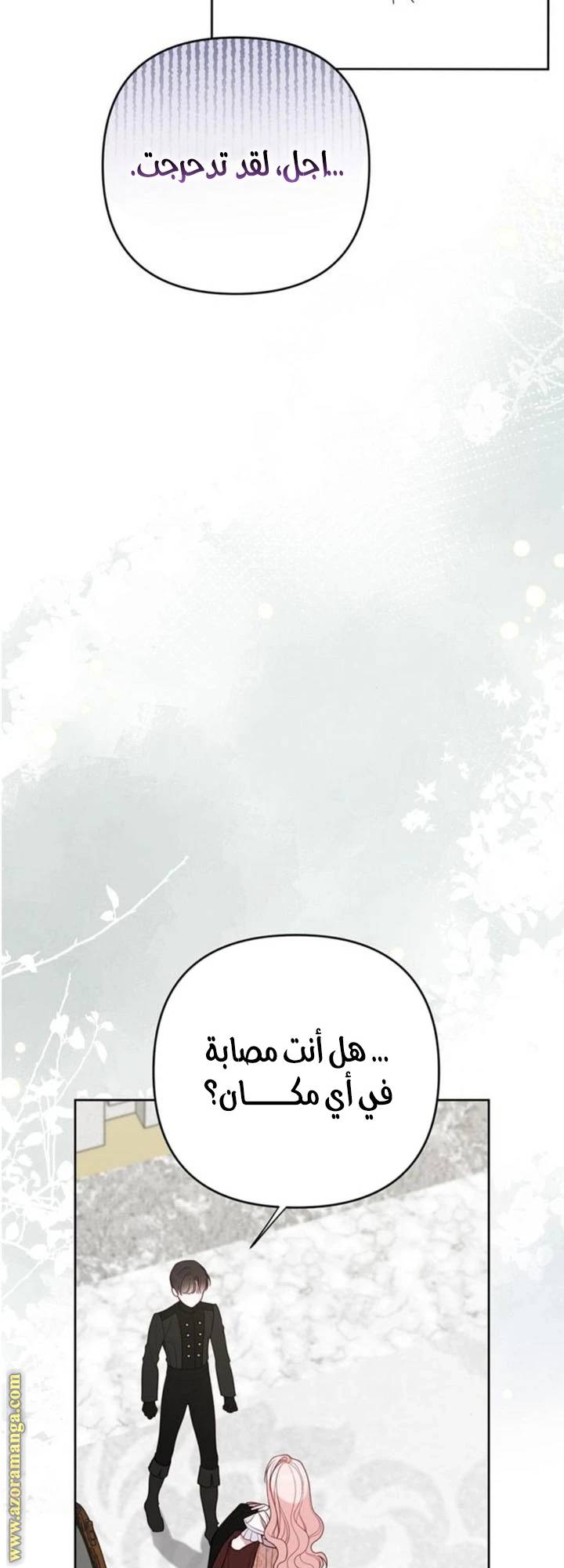 الصفحة 43