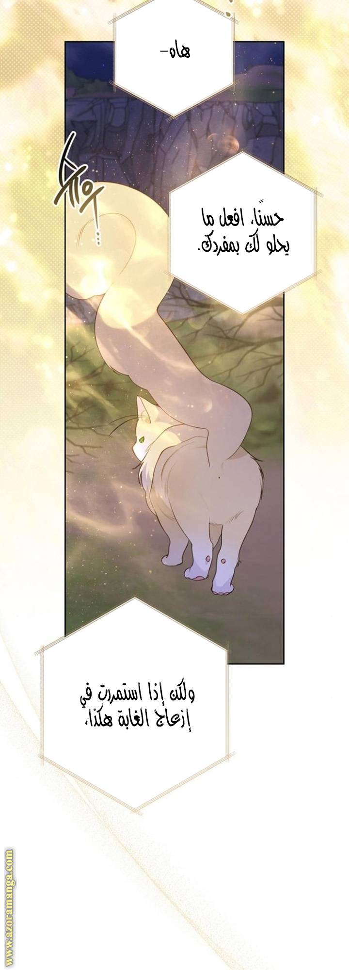 الصفحة 13
