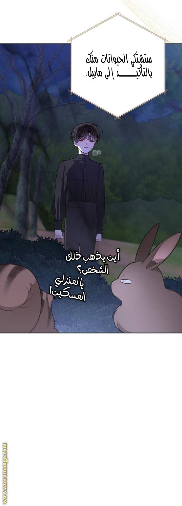 الصفحة 14
