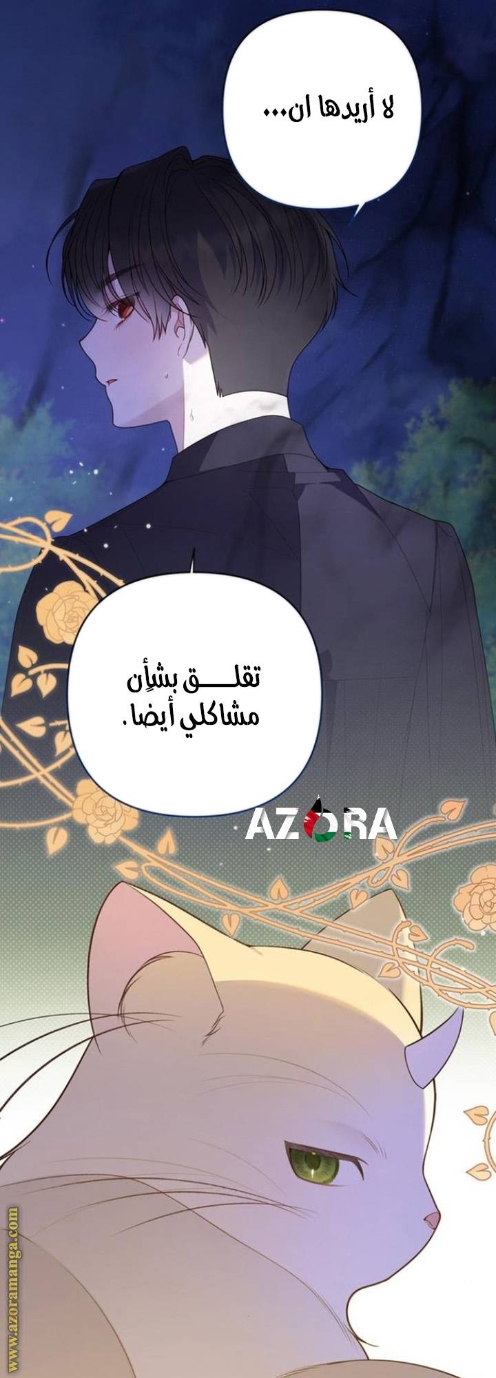 الصفحة 17