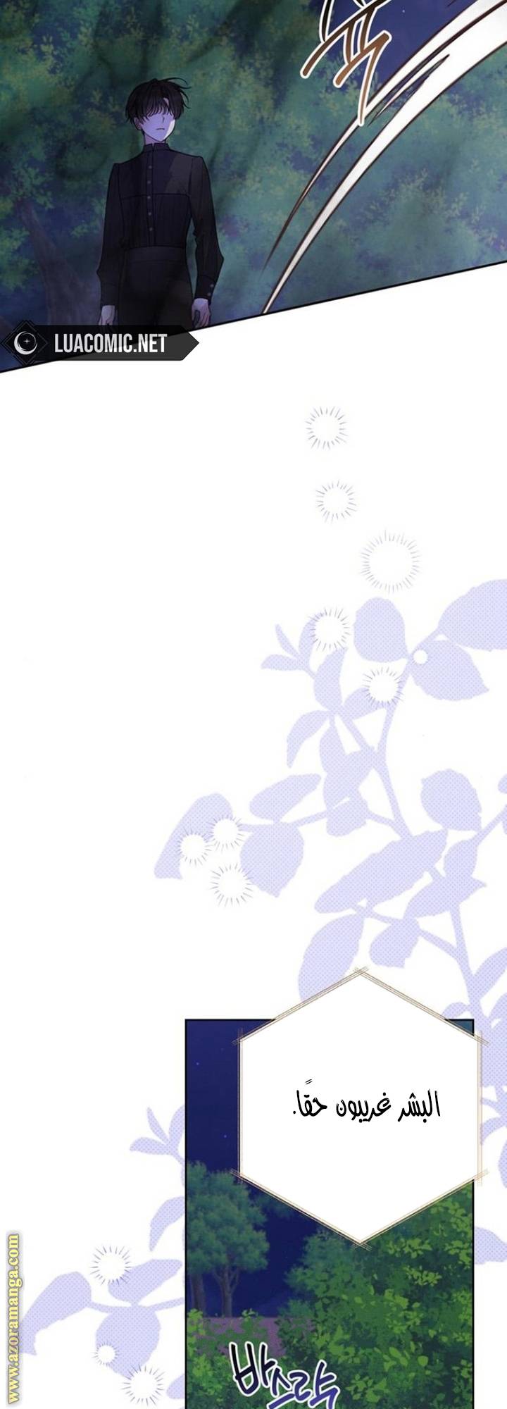 الصفحة 19