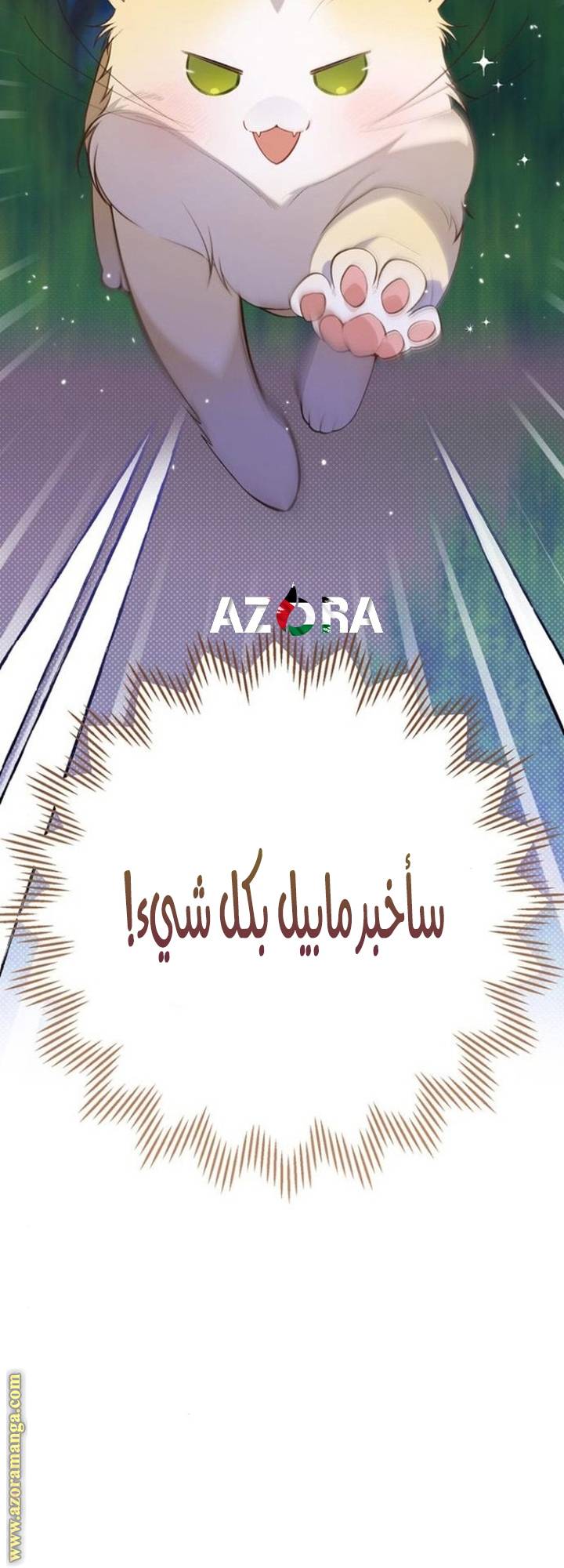 الصفحة 21