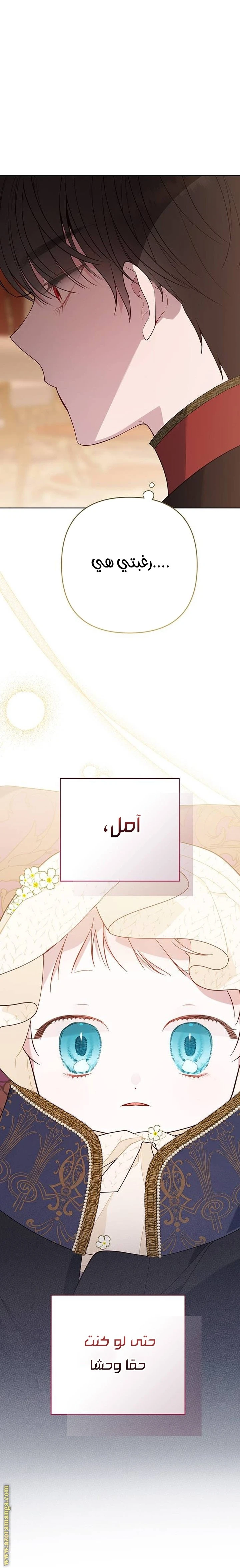 الصفحة 26