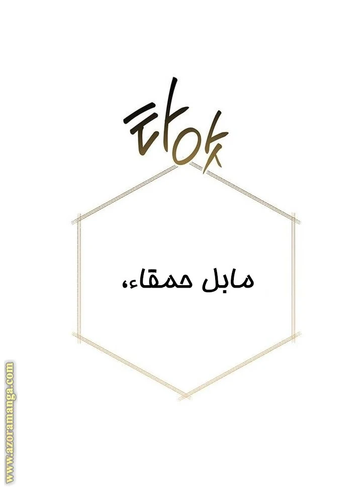 الصفحة 29