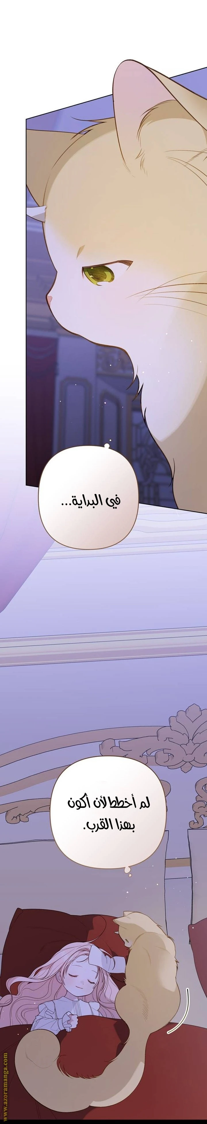 الصفحة 34