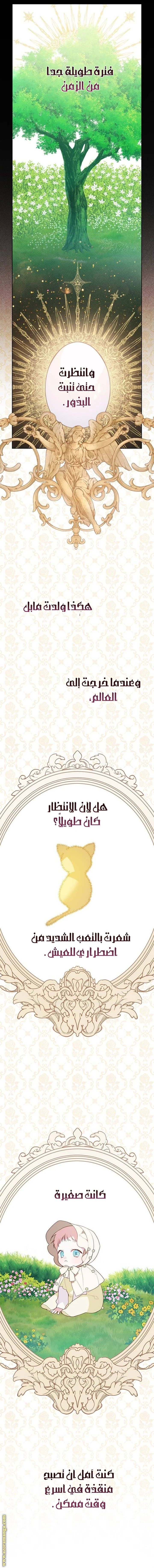 الصفحة 36