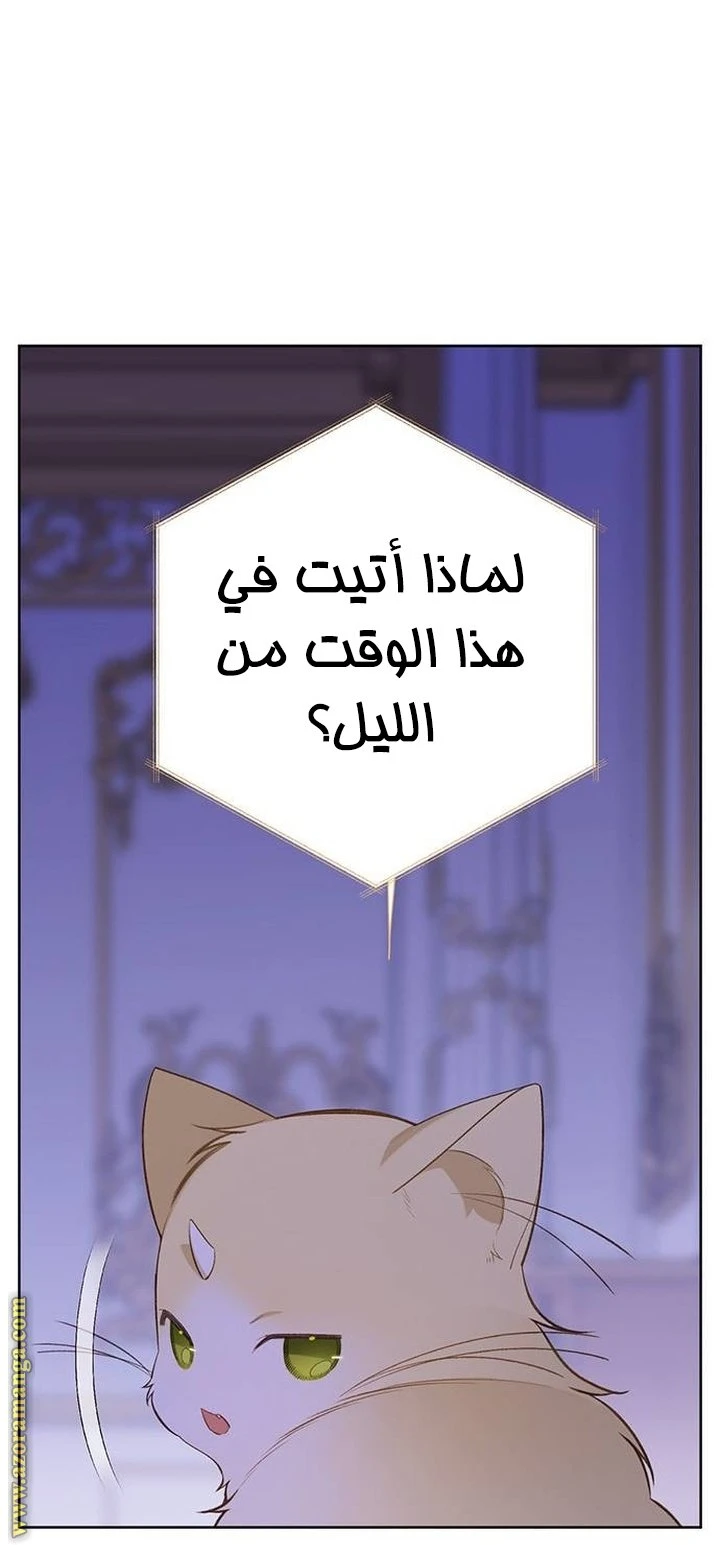 الصفحة 42