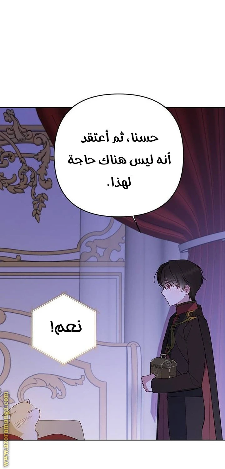 الصفحة 45