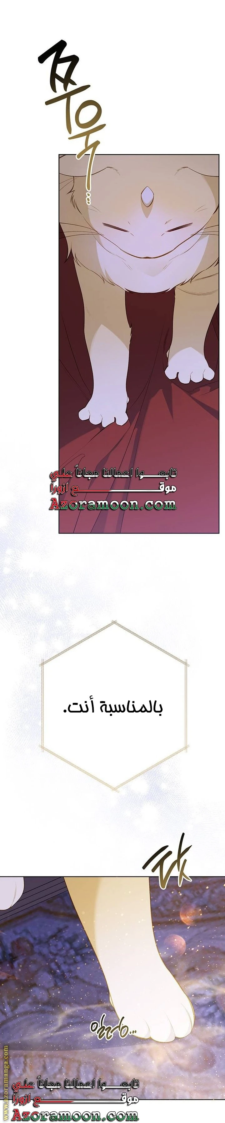 الصفحة 46