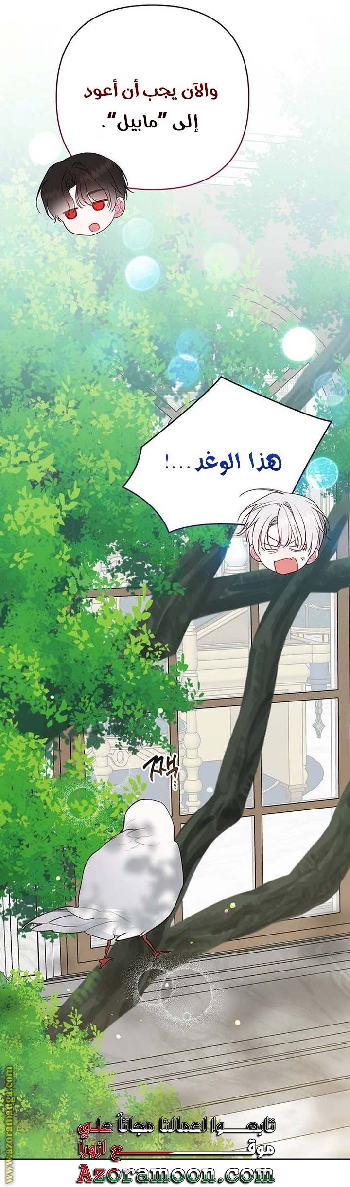 الصفحة 13