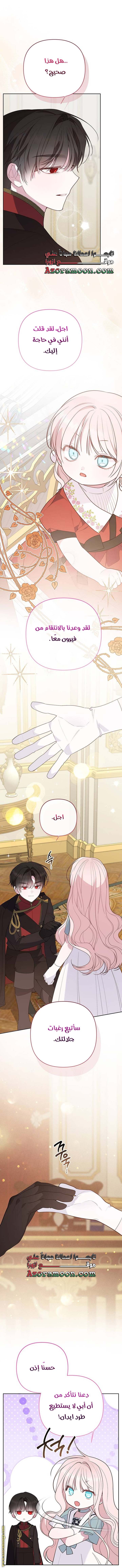 الصفحة 23