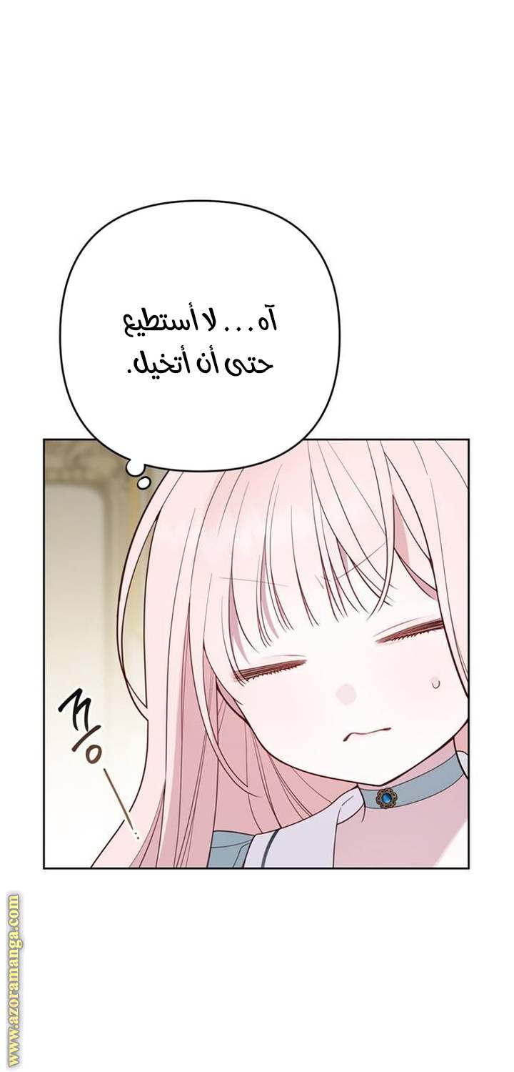 الصفحة 27