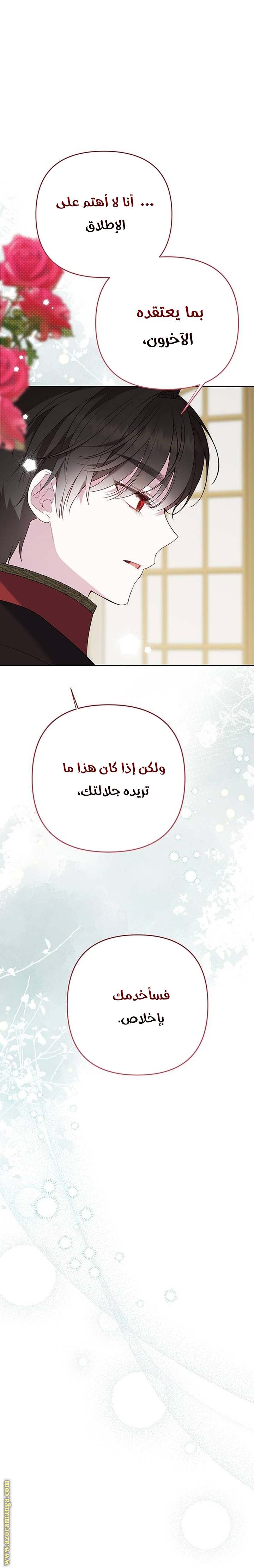 الصفحة 31