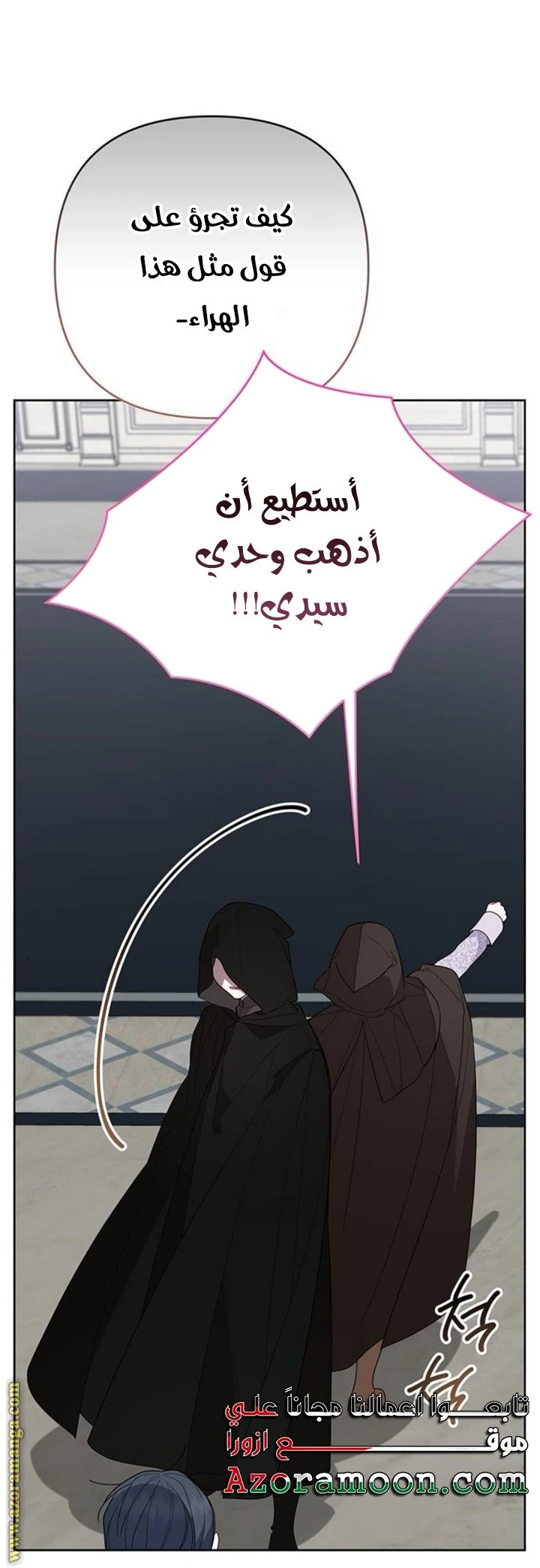 الصفحة 13