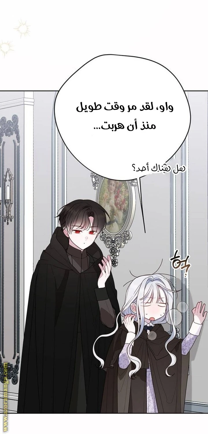 الصفحة 17