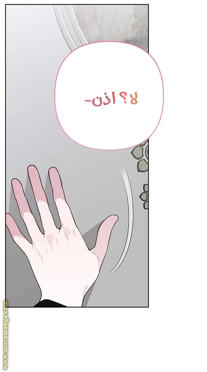 الصفحة 28