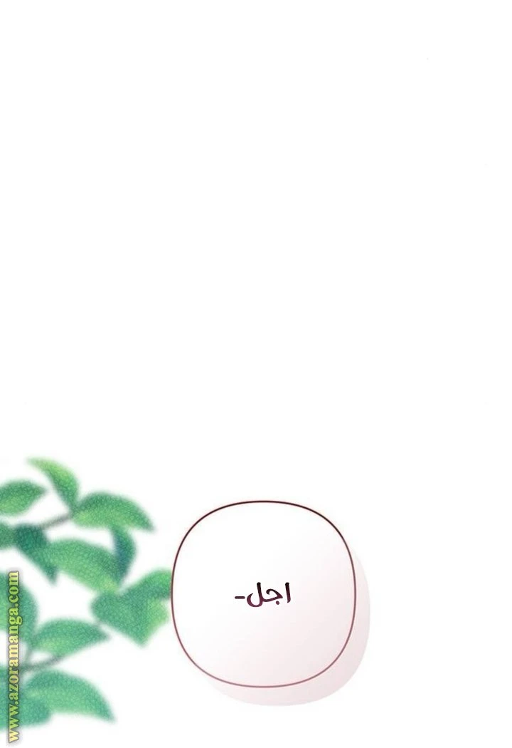 الصفحة 48