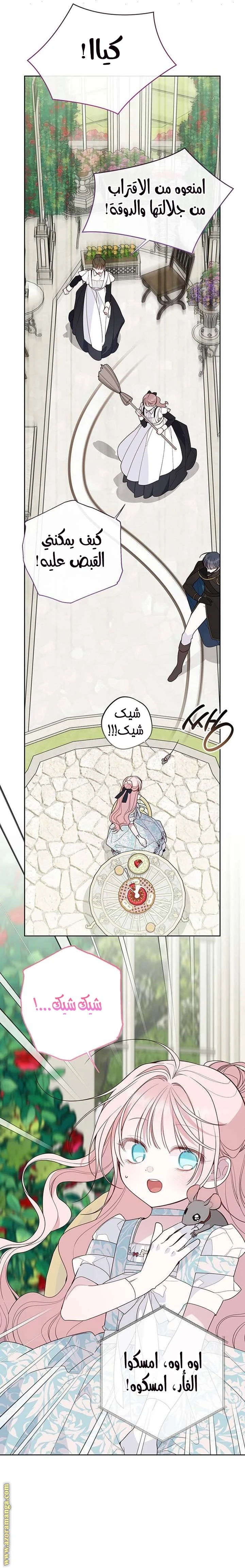 الصفحة 19
