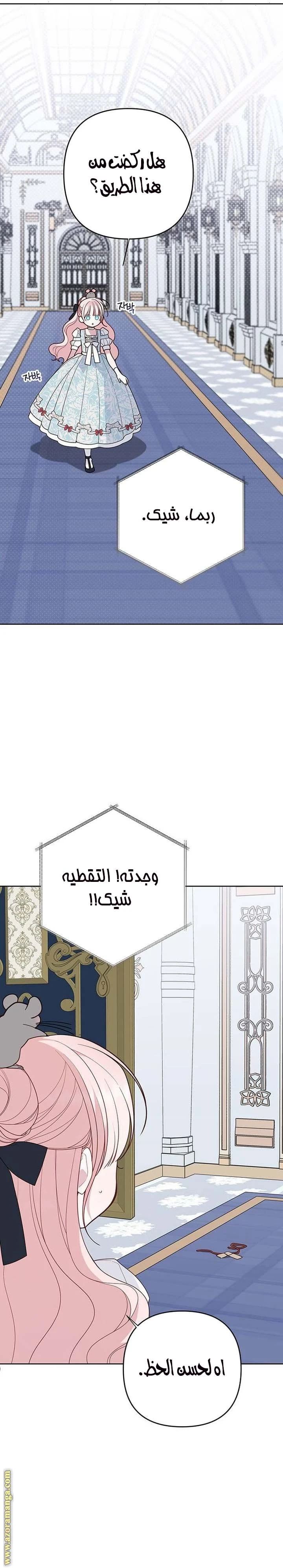 الصفحة 26