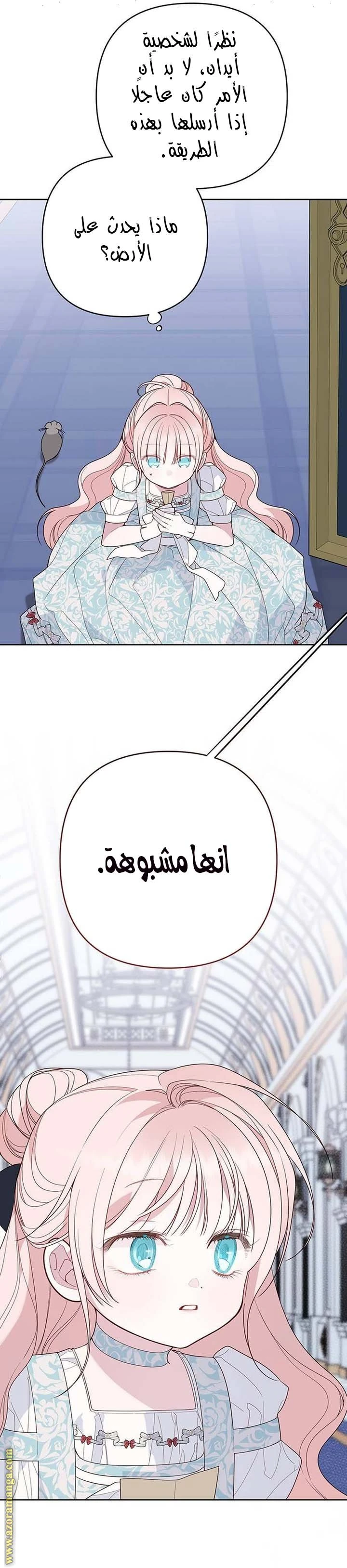 الصفحة 27