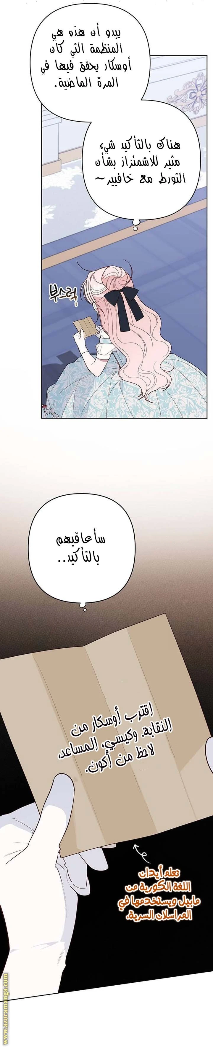 الصفحة 29