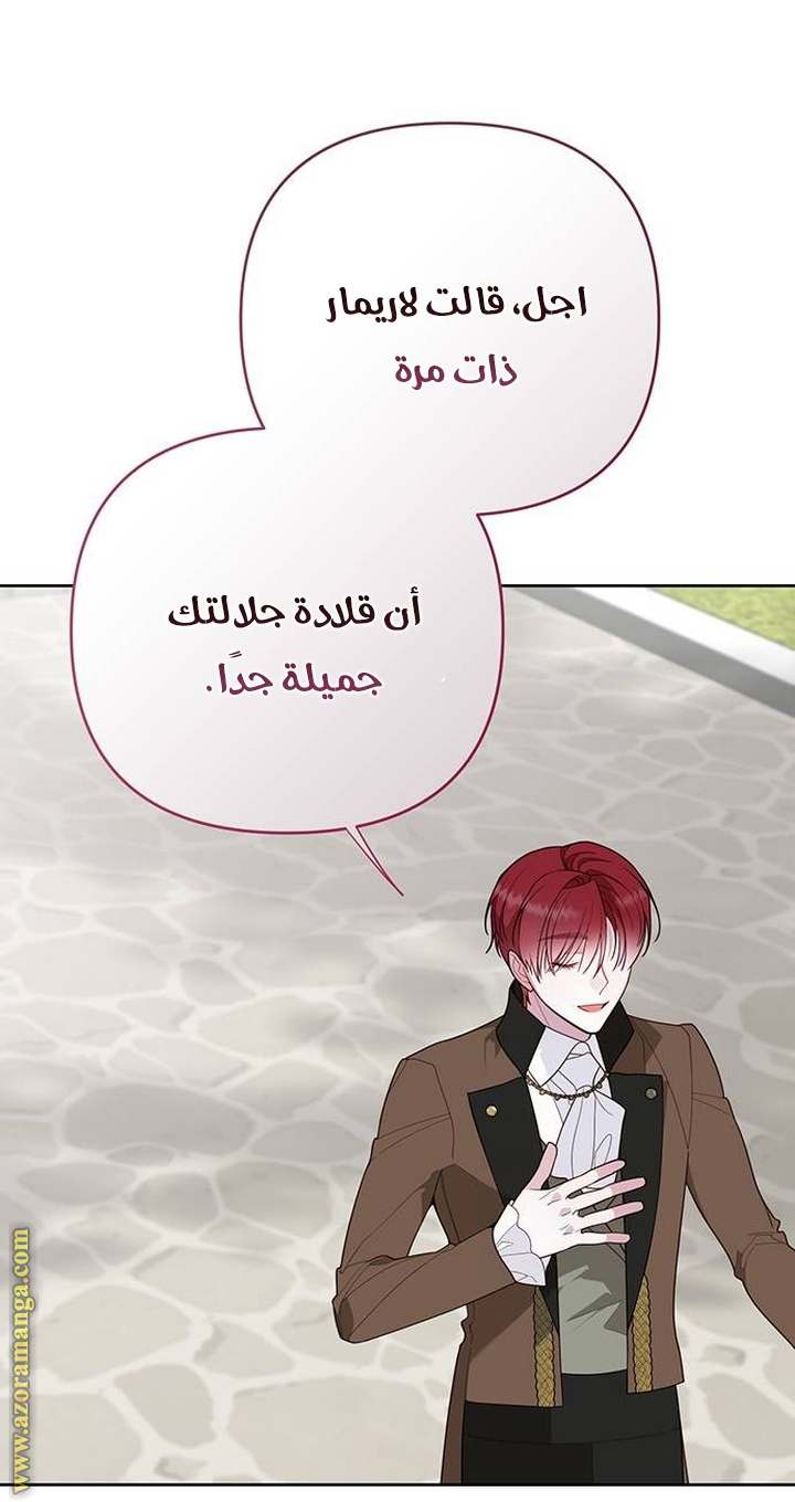 الصفحة 25