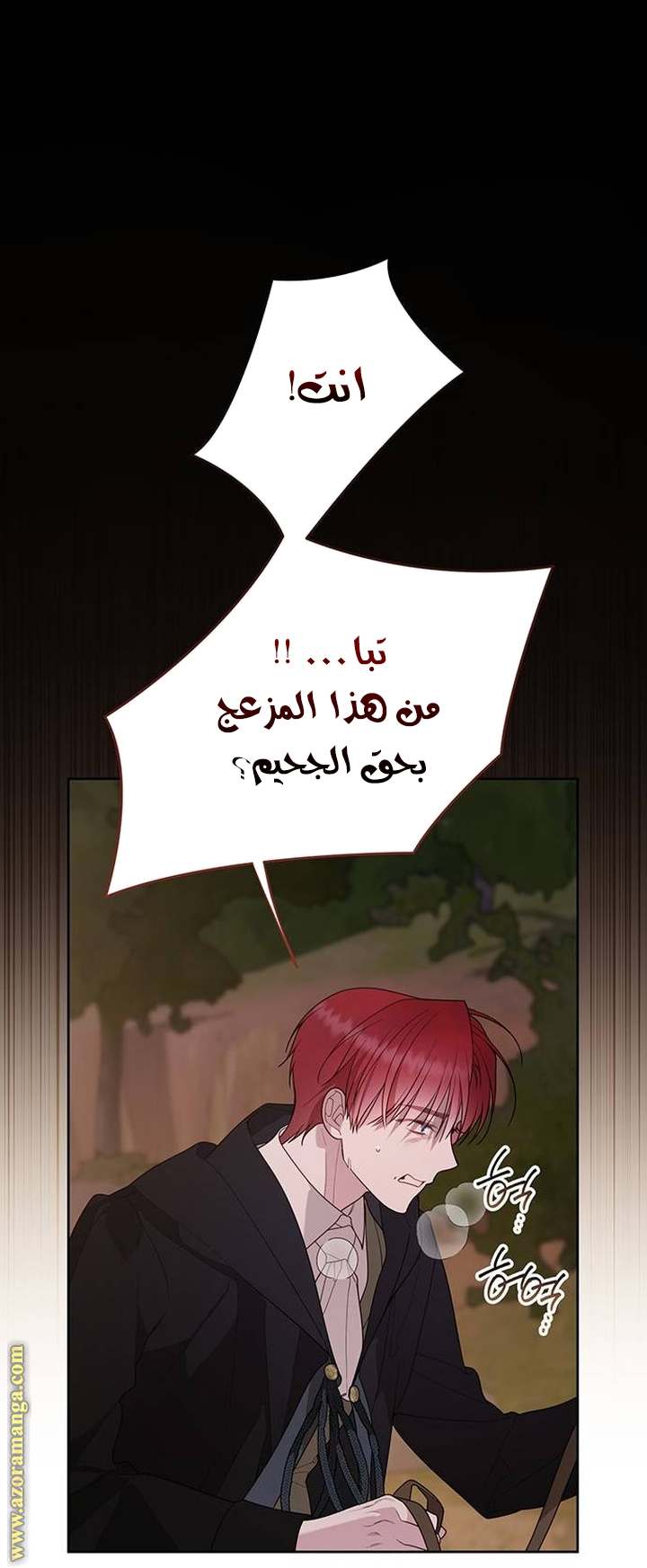 الصفحة 39