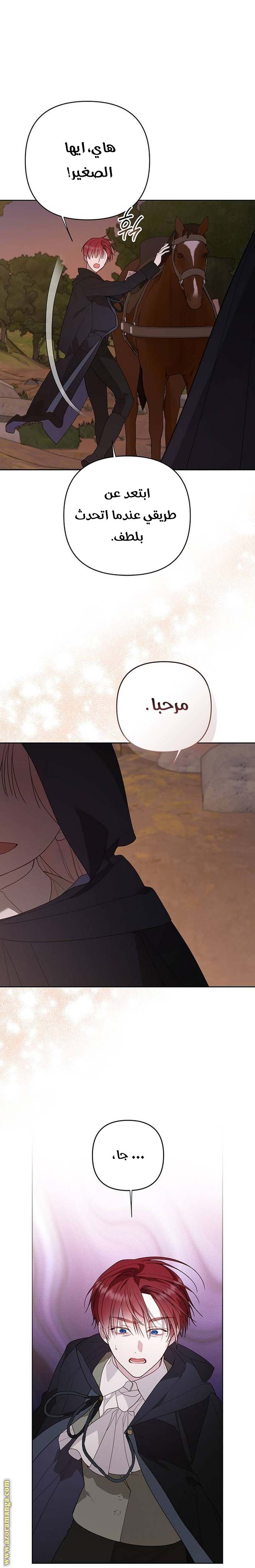الصفحة 40