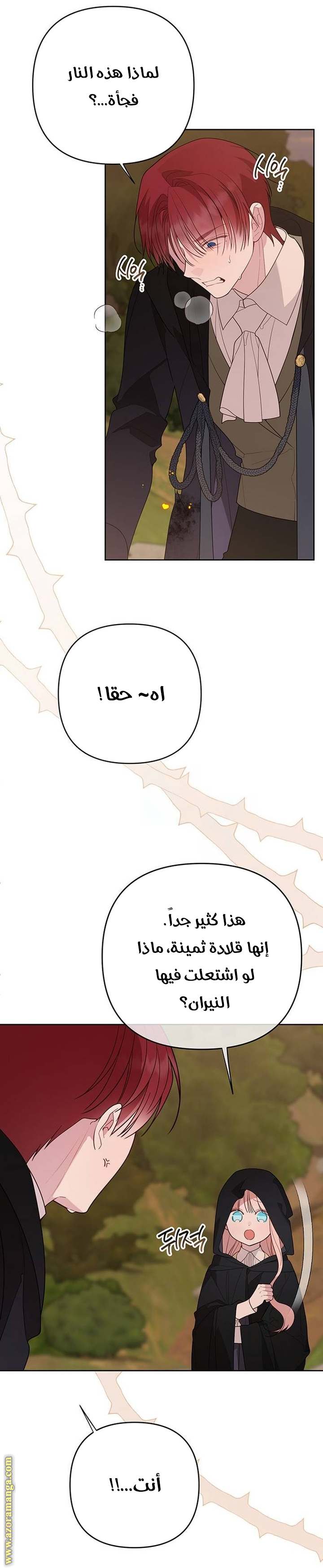 الصفحة 46