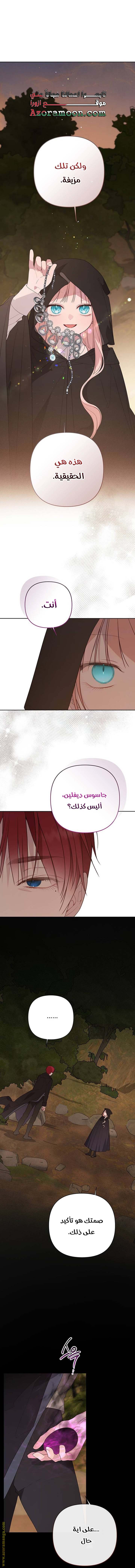 الصفحة 47